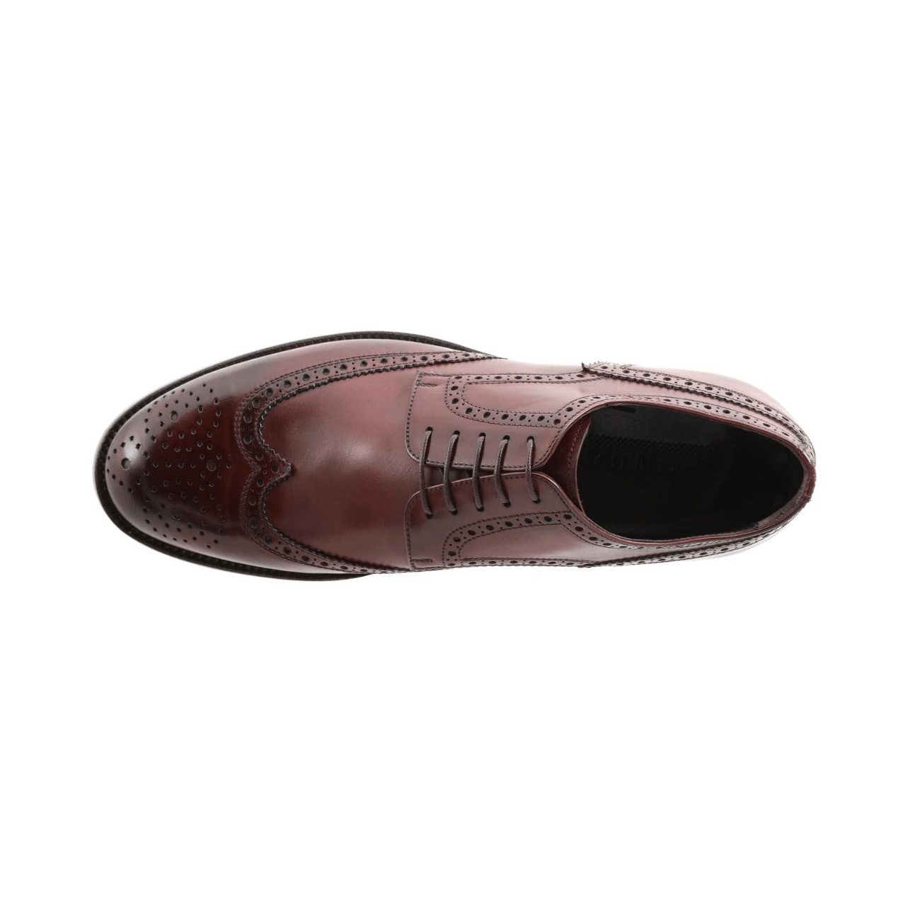 Bellesi Wingtip Leather Men's Derby, Brown