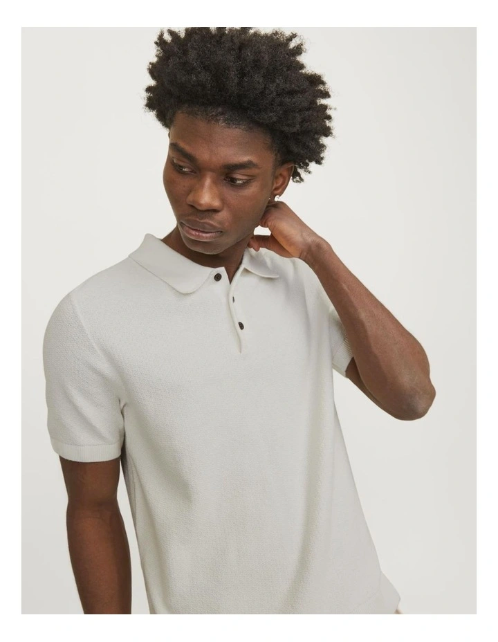 Jprblusandri Knit Polo Shirt in Cloud Dancer