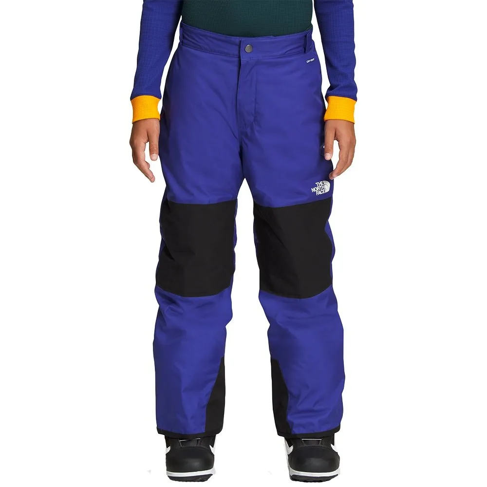 The North Face Freedom Insulated Ski Pant (Boys')