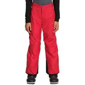 The North Face Freedom Insulated Ski Pant (Boys')