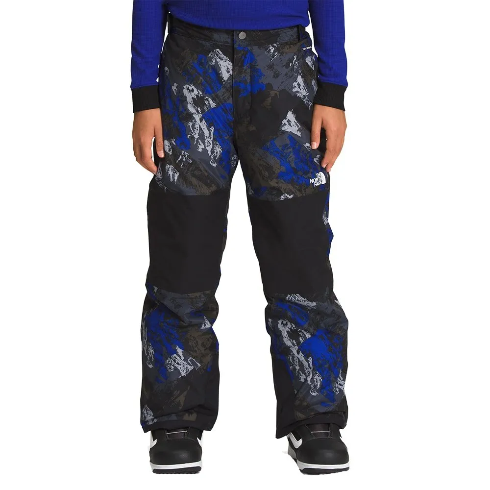 The North Face Freedom Insulated Ski Pant (Boys')